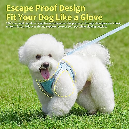 JOYPAWS Summer Soft Dog Harness and Leash Set,Ultra Thin Breathable Diamond Mesh, Step in Adjustable Dog Harness with Padd...