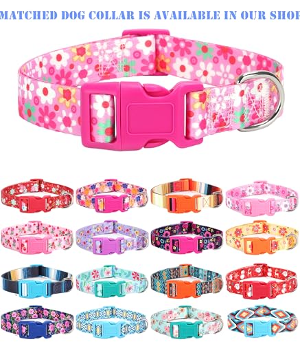 Moonpet Step in Dog Harness Leash Set- All Weather Reflective No-Pull Floral Pattern Padded Mesh Vest Harness for Cats Pup...
