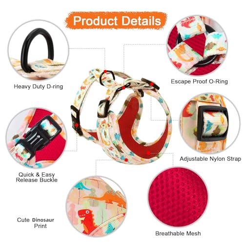 Adjustable Dog Harness and Leash Set for Girl Air Mesh Dog Vest Harness 5Ft Pet Training Leash with Soft Handle Pet Escape...