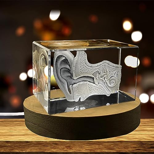 A&B Crystal Collection 3D Engraved Ear Art Crystal Keepsake Gift for Doctor, Medical Theme, Crystal & Metal Material, Home...