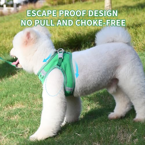 AIITLE Dog Harness for Medium Sized Dog, No-Pull Dog Vest with a Leash, Breathable Mesh, Reflective Stripes, Escape Proof ...