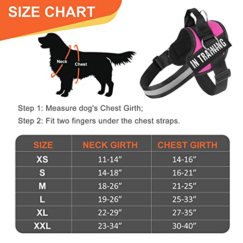Essential Dog Harness, No Pull Pet Harness with 3 Side Rings for Leash Placement, No Choke, Reflective, Adjustable Pet Ves...