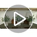 Der Rose 3 Pack Mini Potted Fake Plants Artificial Plastic Eucalyptus Plants Topiaries for Home Office Desk Farmhouse Shel...