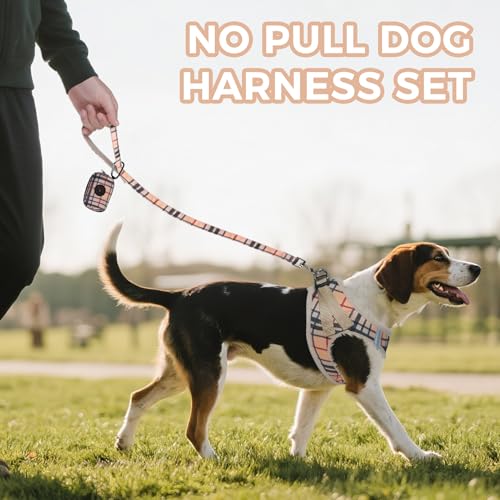 PAWCHIE Dog Harness and Leash Set, Step in No Pull Soft Pet Harness, Reflective Adjustable Puppy Vest for Small Medium Dog...