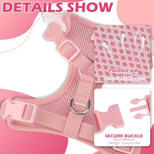 EXPAWLORER Cute Dog Harness, Pink Girl Adjustable No Pull Vest Harness and Leash Set, Soft Padded Step in Wedding Attire S...