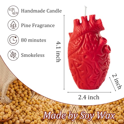 Zainpe Anatomical Heart Shaped Candle Gift Home Aesthetic Decor Pine Fragrance Natural Soy Wax Handmade Aromatherapy Candl...