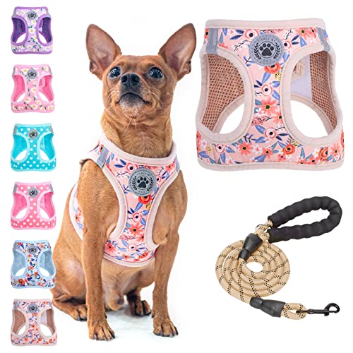 BEAUTYZOO Step in Dog Harness and Leash Set, Floral Pattern Reflective Dog Harness No Pull No Choke Puppy Harness for XXS ...