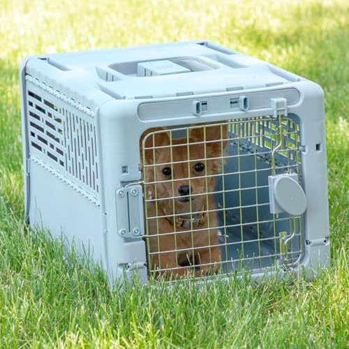 SportPet Designs Collapsible X-Small Pet Travel Carrier (Blue), Hard-Sided Kennel for Small Dogs, Puppies, Cats, Kittens, ...
