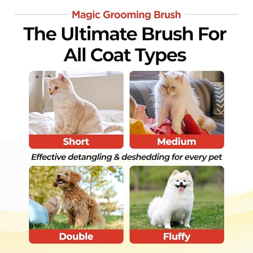 JAYU PET Magic Grooming Brush – Cat Brush for Shedding, Dual-Length Stainless Steel Bristles, One-Click Self-Cleaning, Ver...