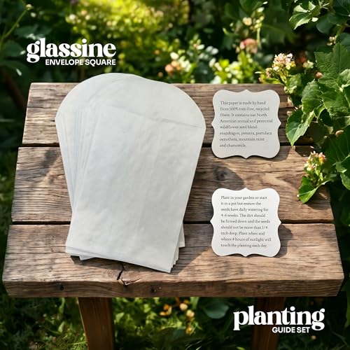 Set of 24 Purple Hummingbird Seed Paper – Writable & Plantable Wildflower with Envelopes & Planting Guides, Gift for Plant...