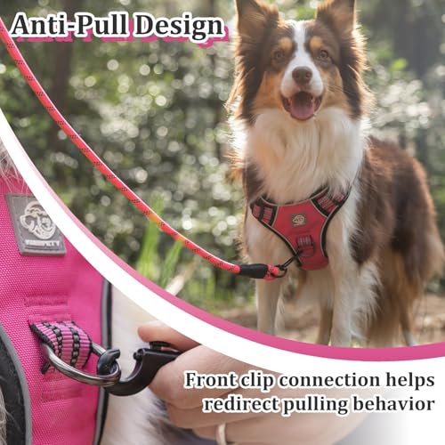 Vest Harness for Dogs - Reflective Adjustable Padding with Easy-On Design & Leash Attachment(S, Hot Pink)