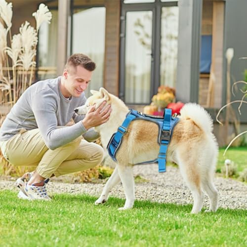 No Pull Dog Harness 2 Clip,Dog Walking Harness XLarge Sized Dogs,Reflective Oxford Service Vest and Easy Control Handle Ad...