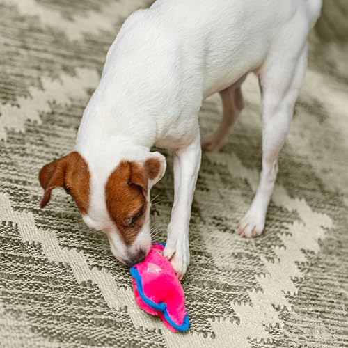 Outward Hound Durablez Minis – Squeaky Plush Dog Toy, No Stuffing for Less Mess, Interactive & Tough, Jumbo Squeaker, Pupp...