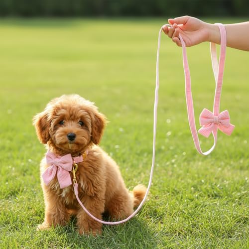 2pcs Dog Collar and Leash Set with Bowtie Cute Small Dog Collar Harness Leash Set Adjustable Breathable Soft Padded for Sm...