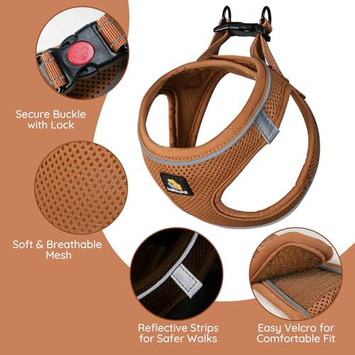 BELLA & PAL Step in Vest Harness for Small and Medium Dogs, No Pull Puppy Harness with Leash Set, Comfortable Air Mesh Dog...