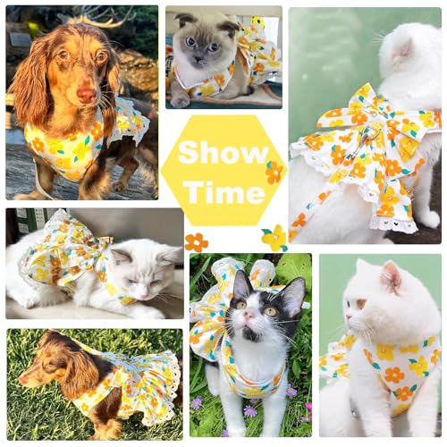 ABRRLO Dog Harness Dress Leash Set for Small Dog Summer Clothes Girl Female Puppy Cats Outfits Cute Floral Bowknot Princes...
