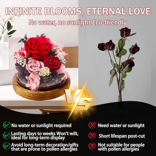 pisyae Forever Flowers Gifts Mom .Birthday Gifts for Women, Preserved Flowers in Glass Fresh Flowers for Delivery Prime re...