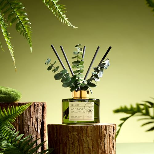 Airkeep Reed Diffuser Set with 6.76 fl oz Wild Mint & Eucalyptus Scent Essential Oils and 3 Leaves & 8 Diffuser Sticks,Bat...