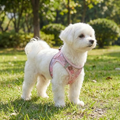 Mihqy Step in Dog Harness and Leash Set, Reflective Adjustable No Pull Dog Harness for Extra-Small/Small Dogs Puppy and Ca...