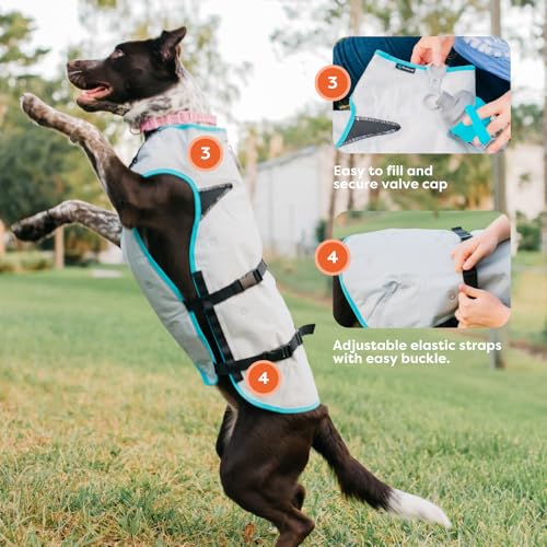 Suitical Dry Cooling Vest for Dogs | Canine Cooling Vest for Hot Weather | Dog Cool Down Jacket | Machine Washable | S | N...