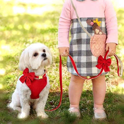 Didog Cute Small Dog Harness Collar and Leash Set with Bowtie, Breathable Soft Mesh Padded Puppy Harness, Christmas Dog Ha...