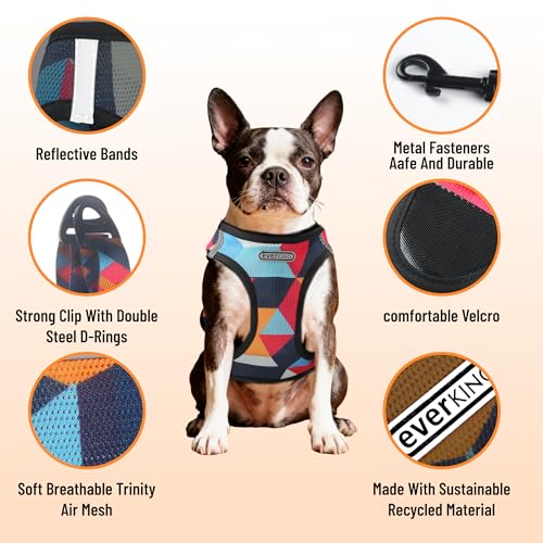 EVERKING Breathable Mesh No-Pull Dog Harness & Leash Set for Small Dogs, Reflective Trim for Safety – Comfortable Vest Des...