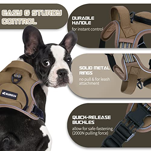 No Pull Dog Harness for Medium Dogs, Adjustable No Choke Pet Vest with Dog Leash Fit Smart Reflective Pet Walking Harness ...