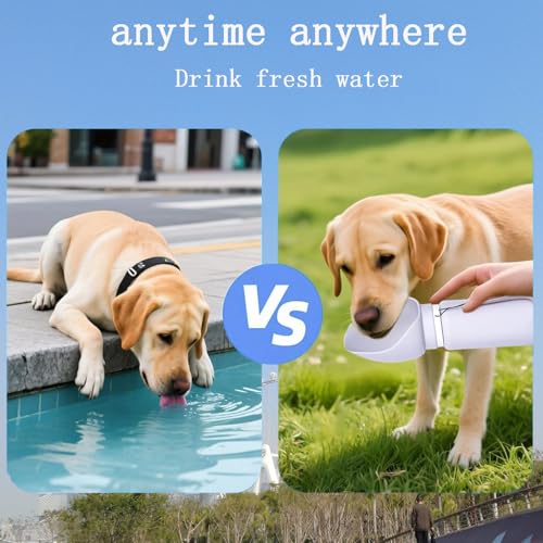 Foldable Portable Dog Water Bottle, 2 in 1 Integrated Collapsible Dog Water Bowl & Travel Dispenser, Leak-Proof Portable P...
