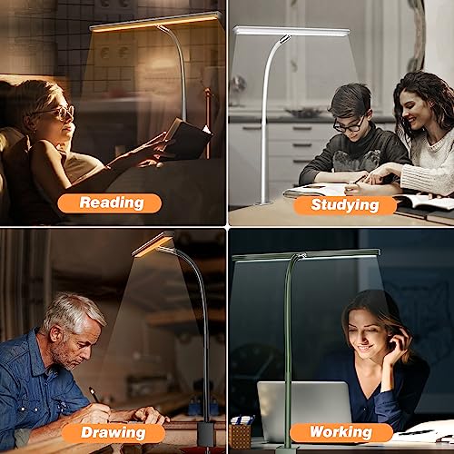 Airlonv LED Desk Lamp for Office Home, Eye-Caring Desk Light with Stepless Dimming Adjustable Flexible Gooseneck, 10W USB ...