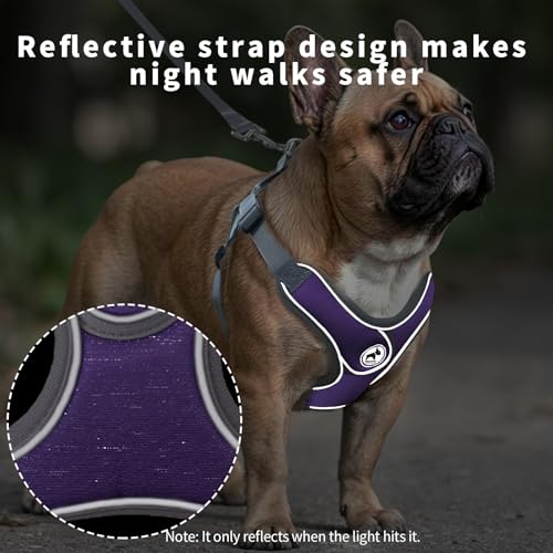 Dog Harness with Leash Set, No Pull Adjustable Step in Collars Harness with Breathable Padded Vest for Small Dogs Training...