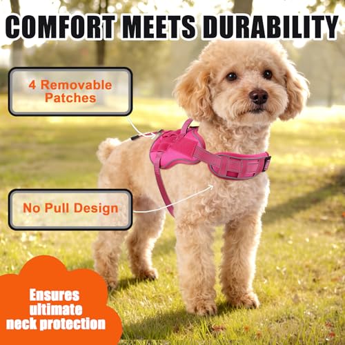 Service Dog Vest, No Pull Dog Harness Small Medium Sized Dog, Service Dog Harnesses and Leash Set, Reflective Easy Walk Do...