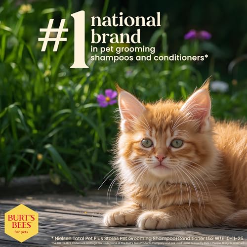 Burt's Bees for Pets Kitten Grooming Wipes with Buttermilk and Honey, Waterless Cat Bath Wipes for Face, Paws, Tail and Co...