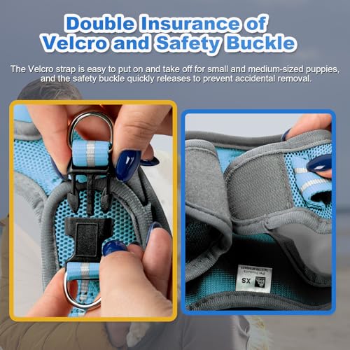 Dog Harness Medium Sized Dogs, Puppy Harness and Leash Set for Training, Running, Walking, Suitable for Small and Medium D...