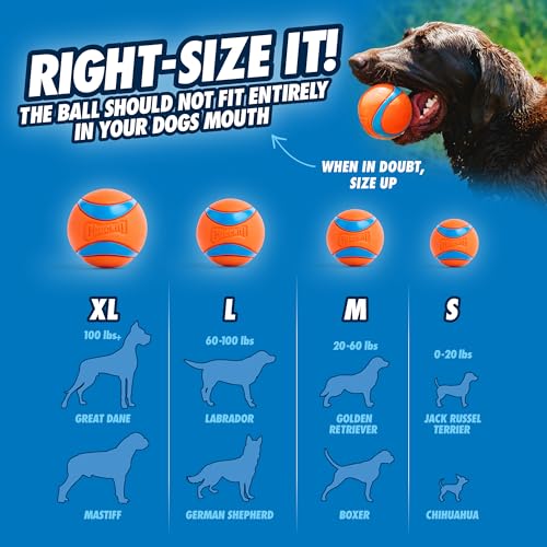 Chuckit! Dog Balls - Interactive Dog Toys, High-Bounce Fetch Ball, Ultra and Rugged Balls, Durable - Size Medium, 2.5-inch...
