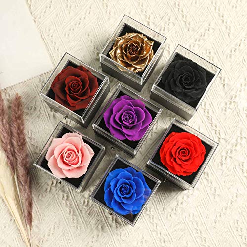 Skalago Preserved Real Rose Drawer with Heart Necklace I Love You in 100 Languages Gift Set, Handmade Enchanted Real Rose ...