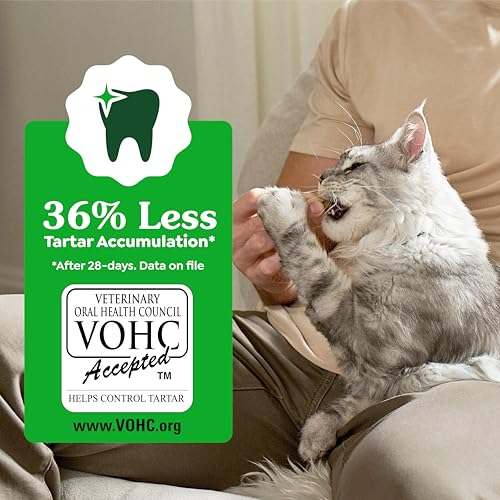 Greenies Cat Treats, Feline Veterinarian-Recommended Adult Natural Dental Cat Treats, Oven Roasted Chicken Flavor, 9.75 o...