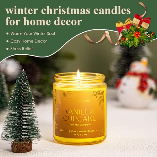 Winter Scented Candles, Holiday Candles for Home, Aromatherapy Soy Candles Gifts Set for Women Men, Vanilla/Fir/Apple Cide...