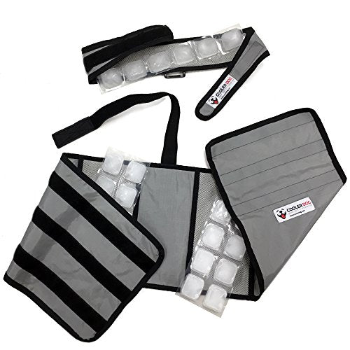 CoolerDog Dog Cooling Vest & Cooling Collar – Ice Vest for Hot Weather Heat Relief, Re-Freezable Pure Water Inserts (Large...