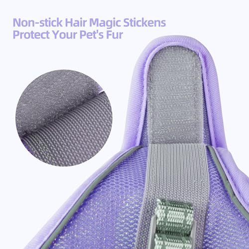 Solmoony Sparkly XXXS Dog Harness and Leash Set, Step in Soft Light Puppy Vest, Breathable Reflective Pet Harness for Walk...