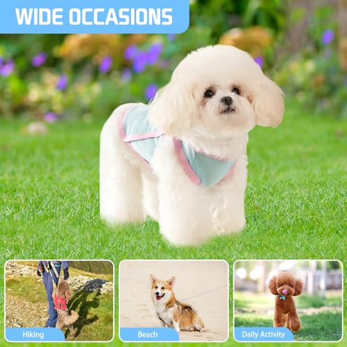 Yaopelky Dog Cooling Vest, Summer Pet T-Shirt, Breathable Quick-Dry Outfit for Dogs and Cats, Blue (Blue, Medium(5.5-8.8lb))