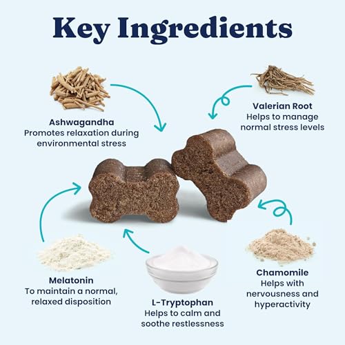 Solid Gold Calming Chews for Dogs - Dog Calming Chews w/Melatonin for Separation, Stress & Hyperactivity Relief - Supports...