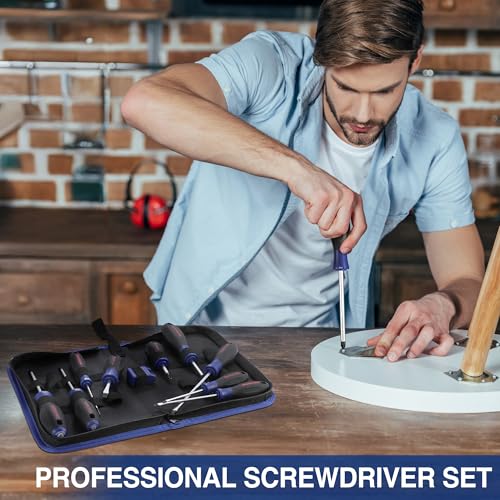 WORKPRO 10-Piece Magnetic Screwdriver Set with Pouch, Phillips, Slotted, Flat Head Screwdriver Include Magnetizer, Screwdr...