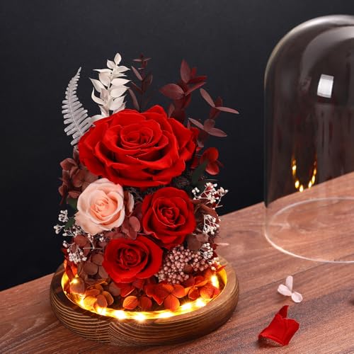 Alupssuc Forever Preserved Real Flowers for Delivery Prime, Eternal Fresh Roses in Glass Dome with LED Lights, Mothers Day...