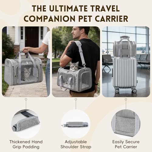 Zedkeys Cat Carrier Soft, Dog Carriers for Small Dogs/Large Cats (Up to 16lbs), with High Breathability, Shoulder Strap, R...