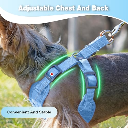 ZOOFLEM Dog Harness with Leash Set, Puppy Soft Vest No Choke No Pull, Adjustable Neck and Chest, Lightweight Harness and A...