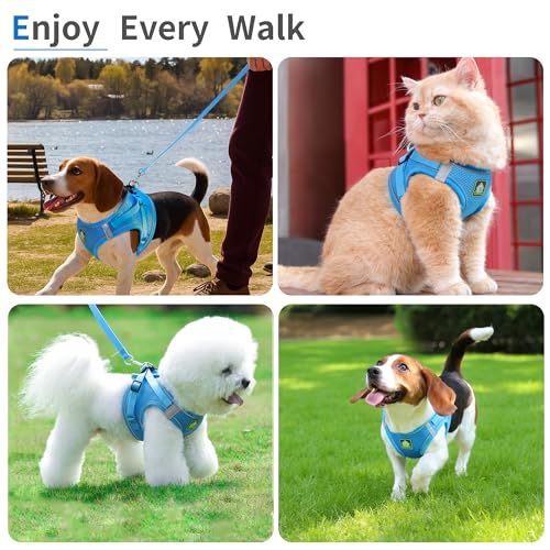 Jolifield Step in Dog Harness with Leash Set, Adjustable Soft Padded and Breathable Mesh for Small Sized Dog, Reflective N...