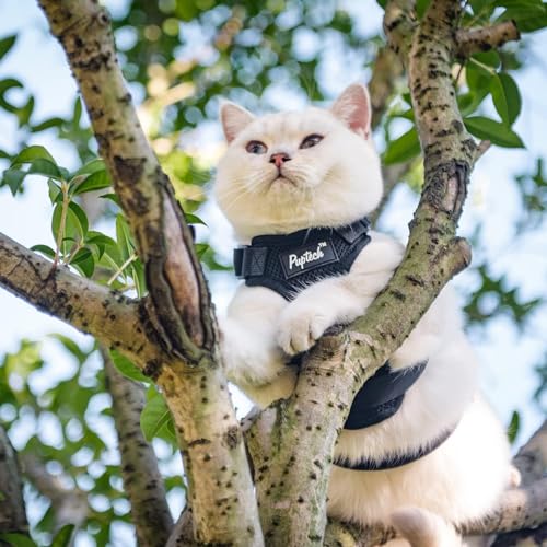 PUPTECK Cat Harness and Leash Set Escape Proof for Walking, Breathable Mash Vest Adjustable Harness for Cats Puppy Small A...