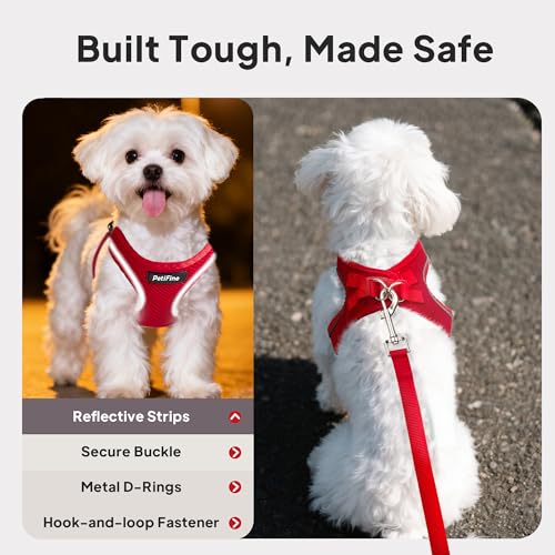 PetiFine Step in Small Dog Harness and Leash Set, Breathable All Weather Air Mesh Reflective Escape Proof, Step-in Vest Ha...