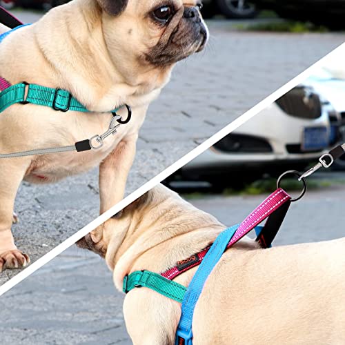 Didog No Pull Dog Harness with Soft Padded Handle, Quick Fit & Lightweight Adjustable Vest Harness, Easy for Training Walk...