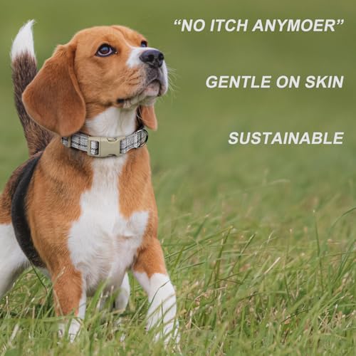 Plutus Pet Cotton Hemp Dog Collar and Leash Set, Adjustable Collar for Small, Medium, and Large Dogs, Heavy Duty and Soft ...